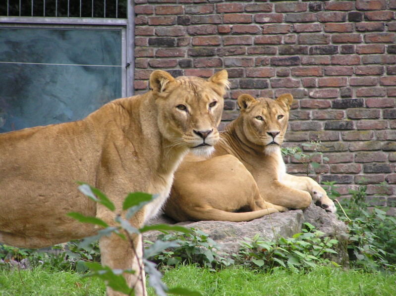 Im Duisburger Zoo