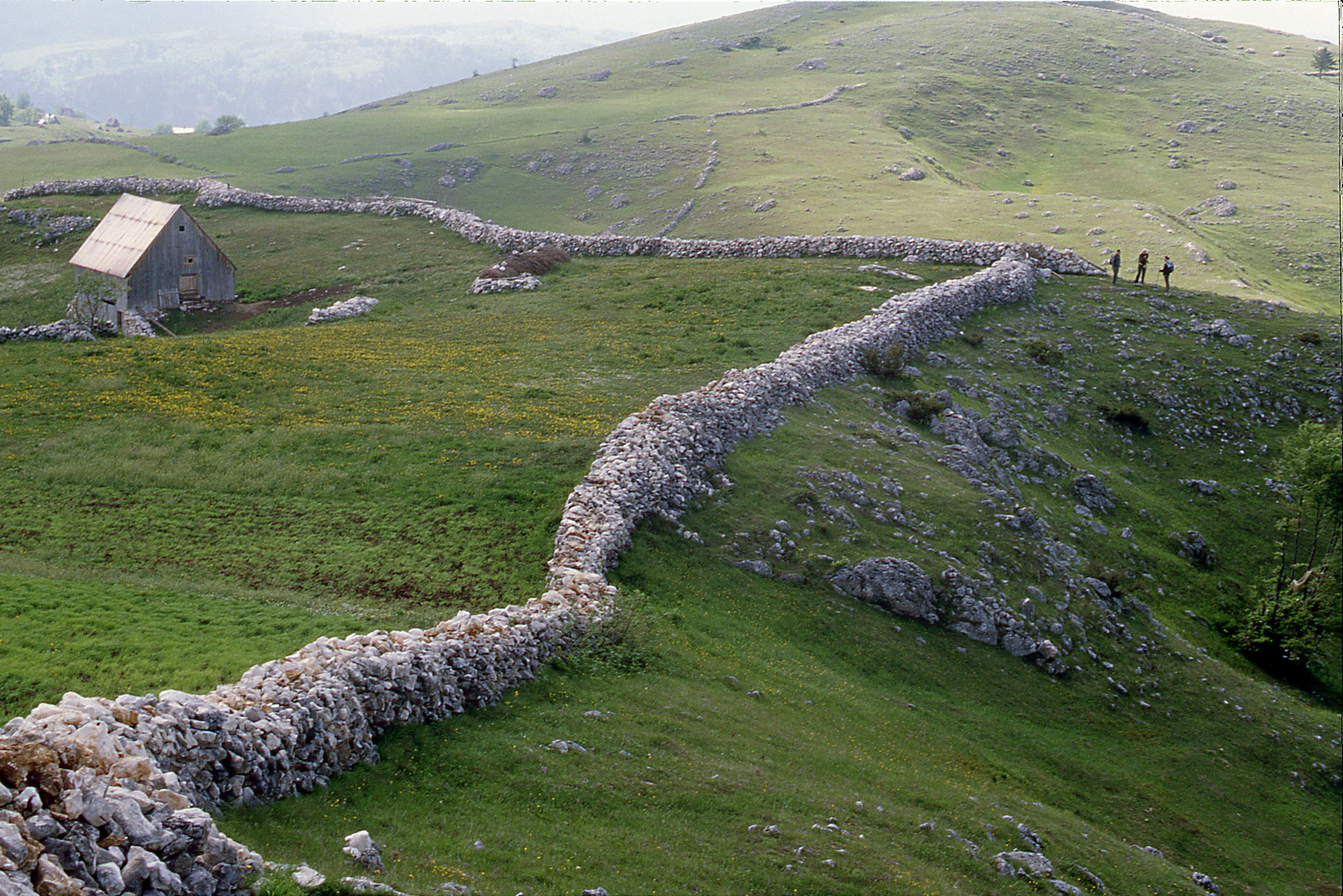 Im Durmitor-Gebirge in Montenegro