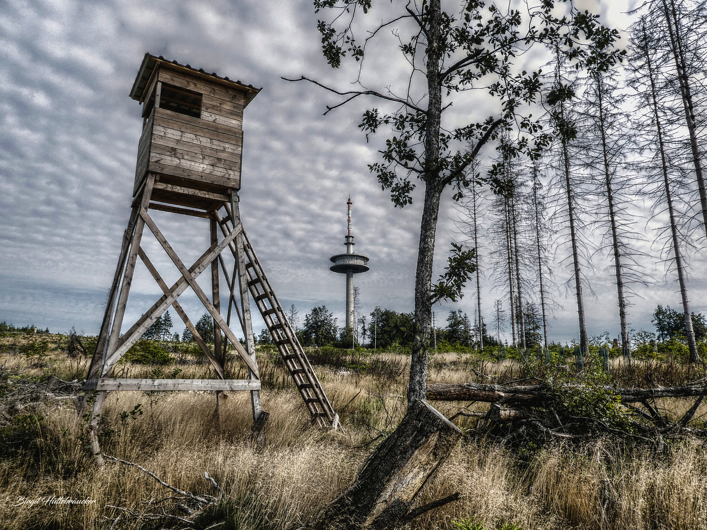 Im Ebbegebirge unterwegs