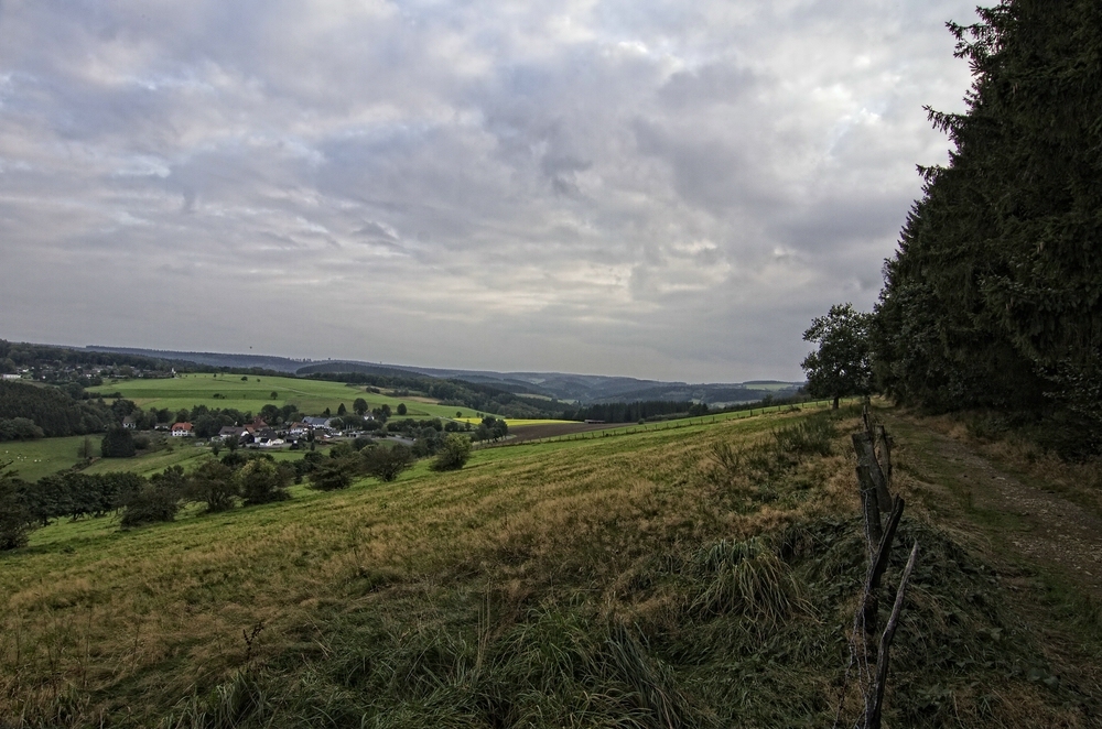 Im Ebbegebirge VI