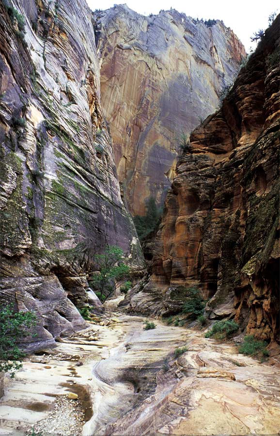 Im Echo-Canyon, Zion NP