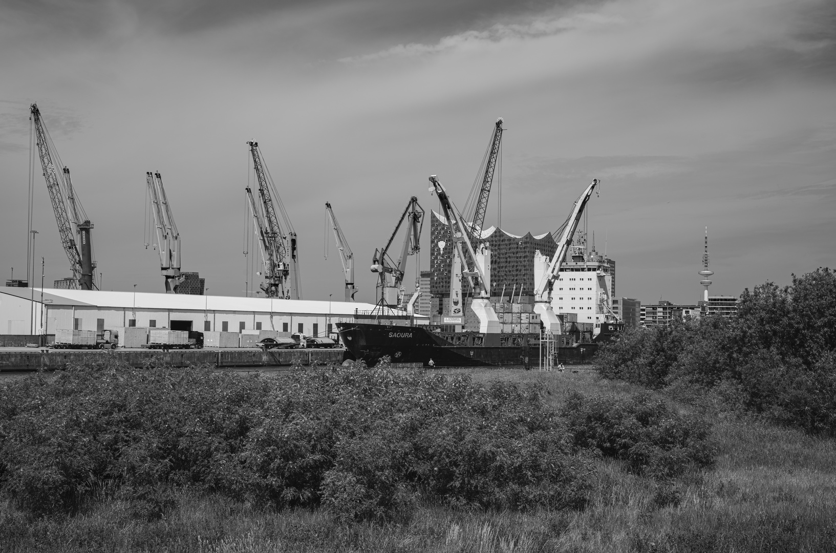 Im ehemaligen Freihafen