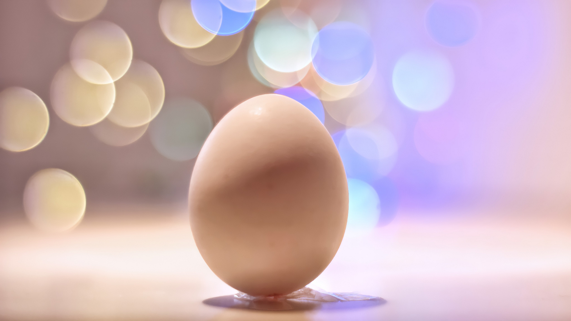 Im Ei steckt Leben