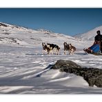 im Eil(hund-)zugtempo