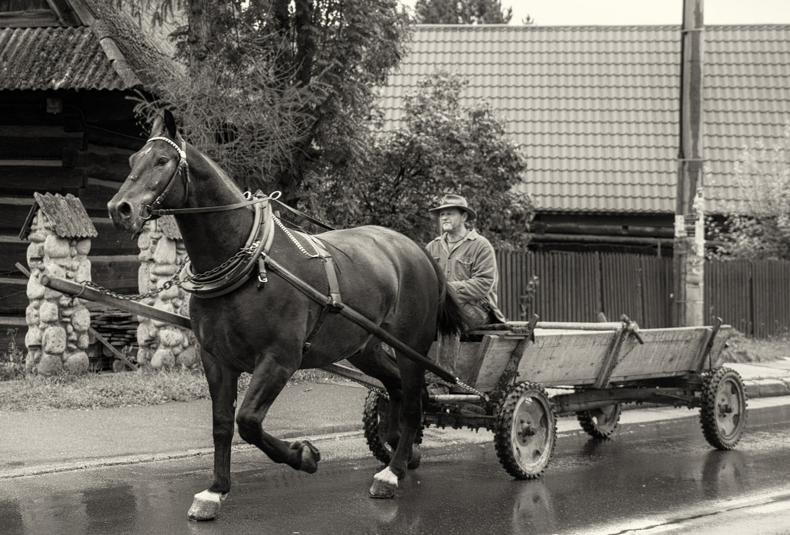 Im Eilschritt nach Hause!