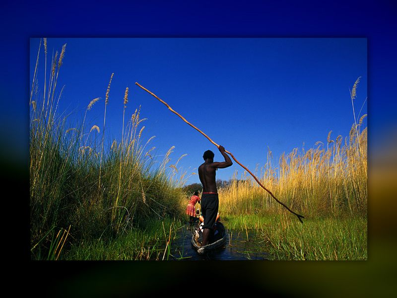 Im Einbaum durch das Okavango Delta