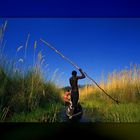 Im Einbaum durch das Okavango Delta