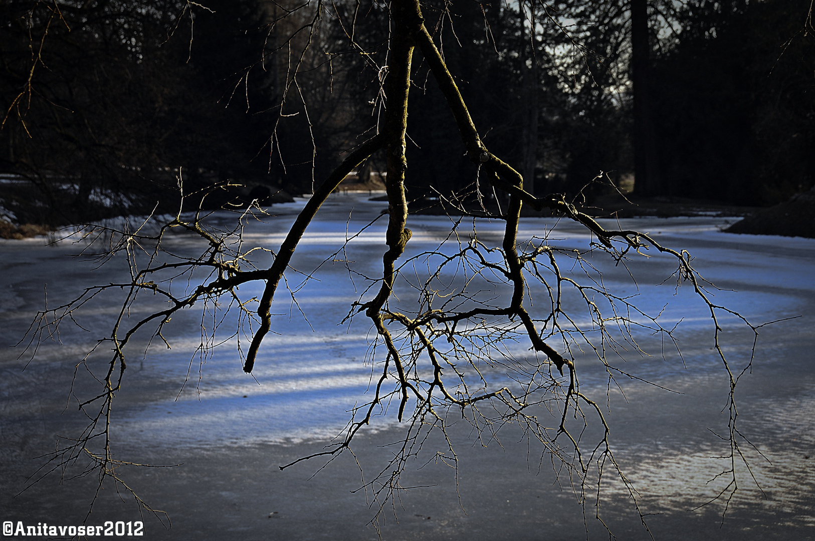 Im Einklang der Natur