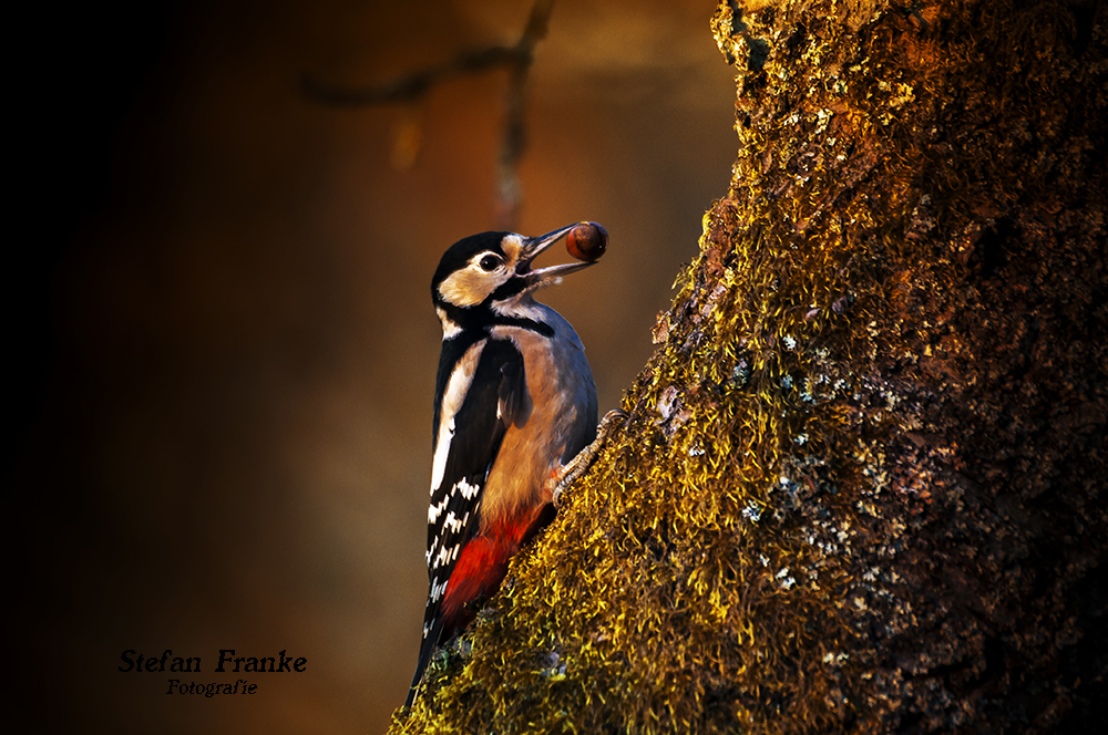 Im Einklang, mit der Natur !