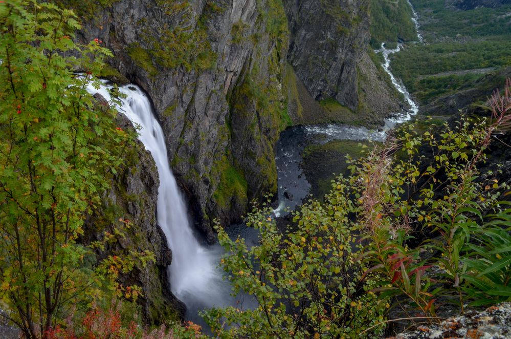 Im Einklang mit der Natur Foto amp Bild wasser gr 252 n natur Bilder auf 