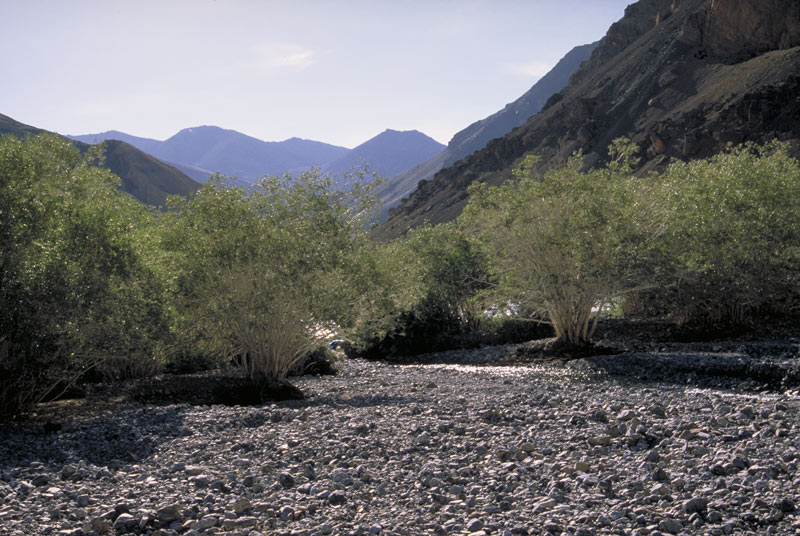 Im Einzugsgebiet des Zanskar