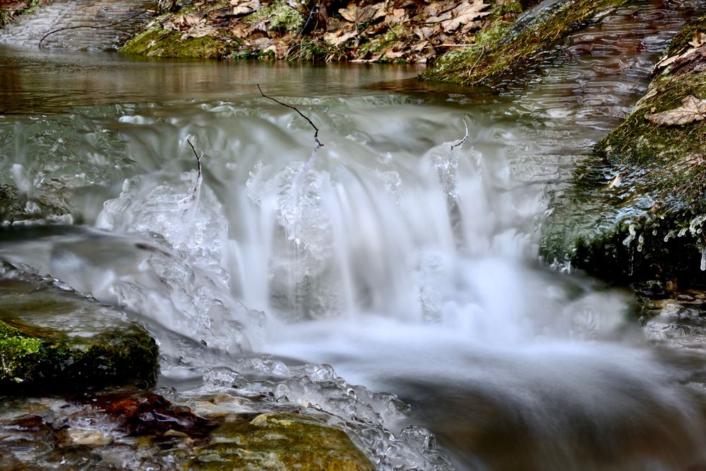 Im Eisbach ...