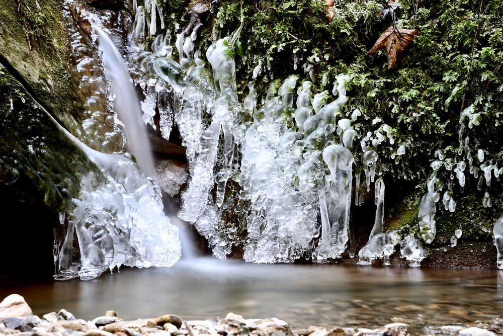 Im Eisbach ...