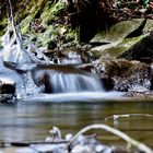 Im Eisbach ...