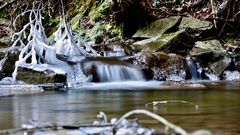 Im Eisbach ...