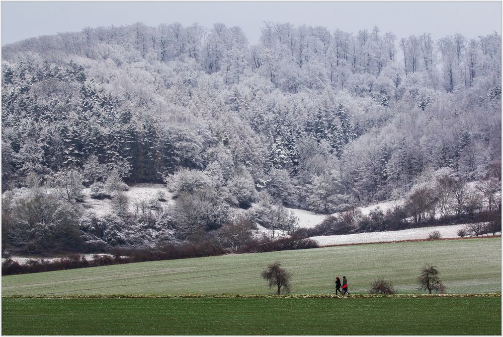 Im eisigen Nordwind spazieren ? 