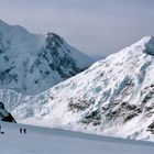 Im eisigen Reich des Denali