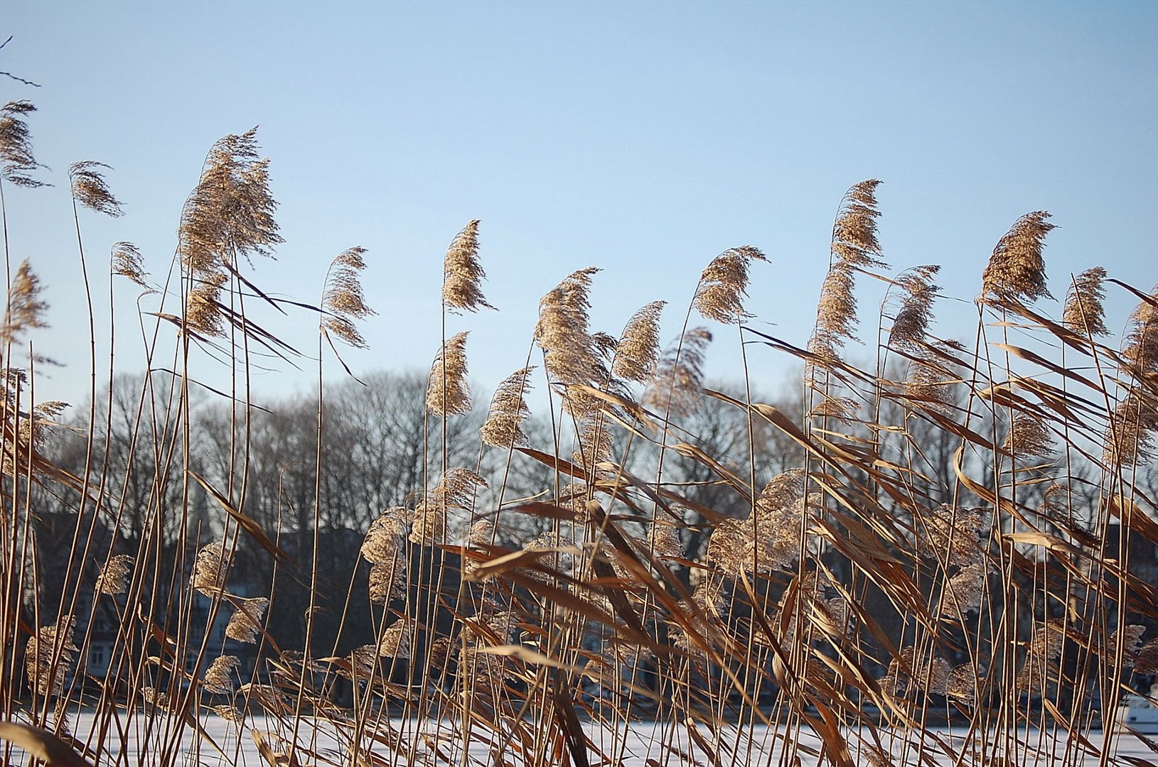 Im eisigen Wind