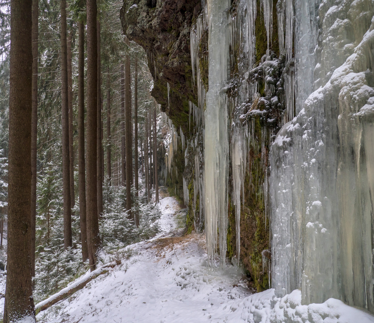 Im eiskalten Mardertal 1