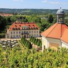 Im Elbtal Dresden-Radebeul Pfingsten'18