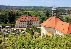 Im Elbtal Dresden-Radebeul Pfingsten'18