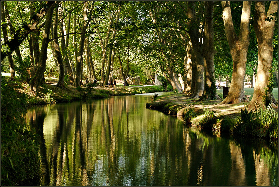 Im Elfenwald