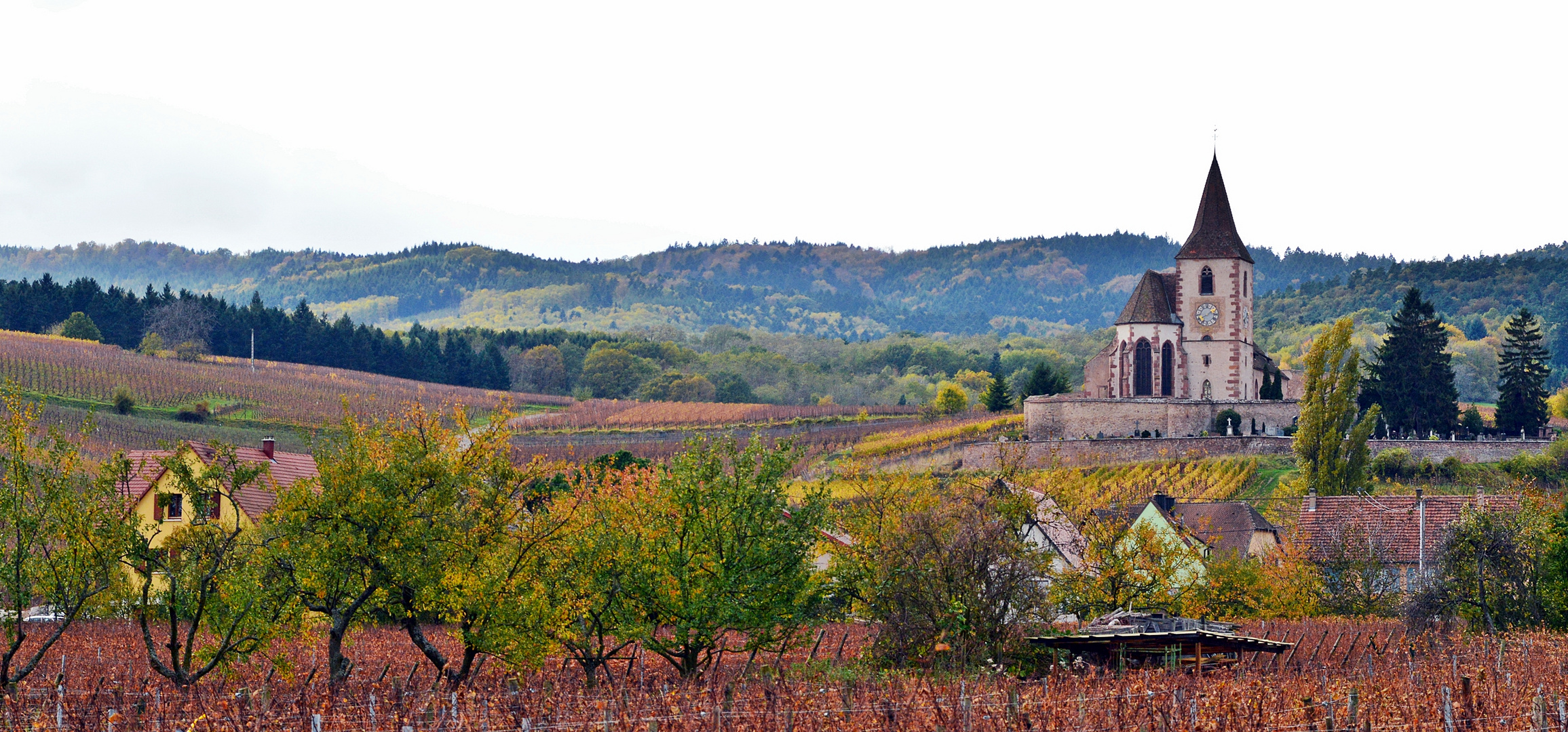 Im Elsass: Farbenfrohe Weinberge