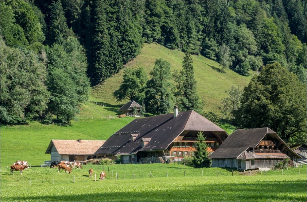 Im Emmental Foto & Bild | world, natur, schweiz Bilder auf ...