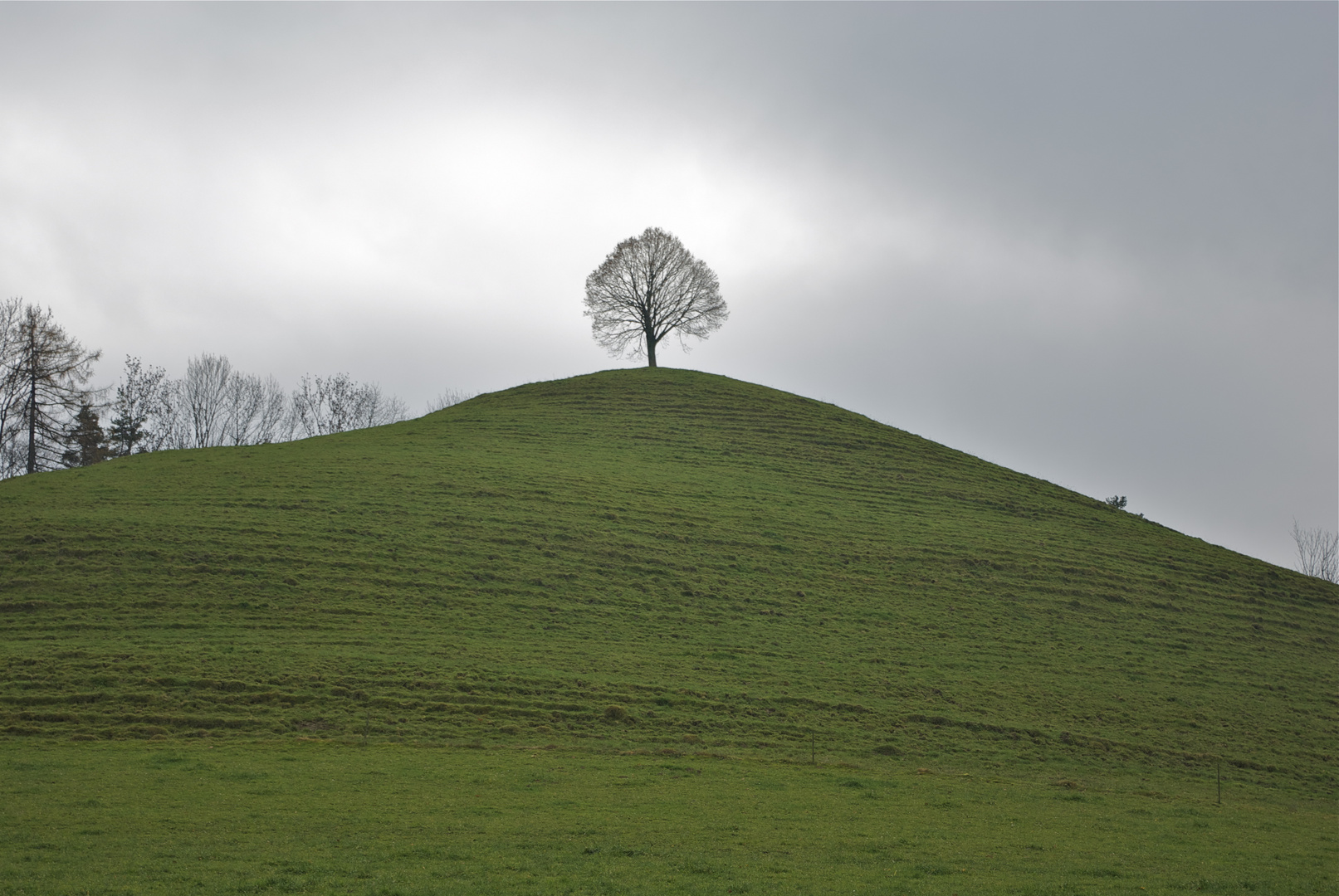 Im Emmental (Schweiz)