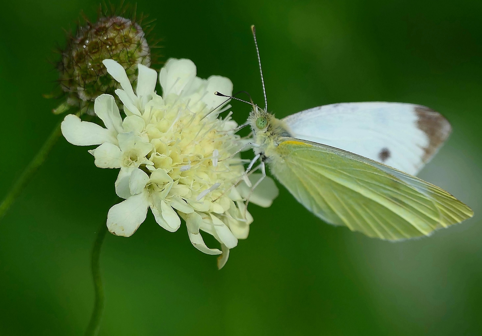 Im Emscherland-Naturpark . . .