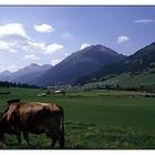 Im Engadin bei Samedan