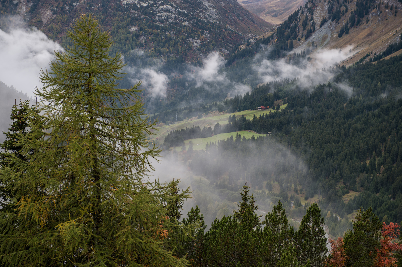 Im Engadin                                DSC_2962