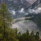 Im Engadin                                DSC_2962