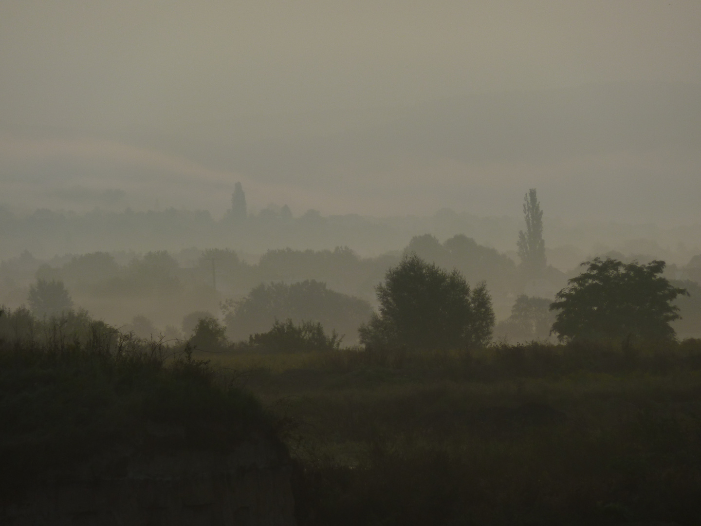 Im Engerser Feld