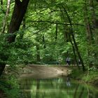 Im Englischen Garten