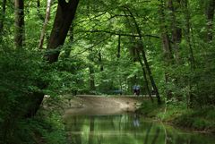 Im Englischen Garten