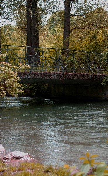 Im Englischen Garten