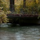 Im Englischen Garten