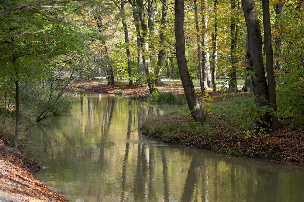 im englischen Garten