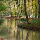 im englischen Garten