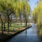 im Englischen Garten, München