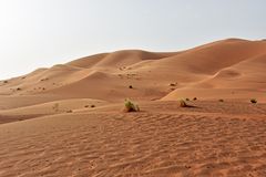 Im Erg Chebbi im Süden von Marokko