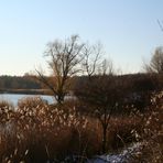 Im Erholungsgebiet Wienerberg