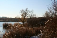 Im Erholungsgebiet Wienerberg