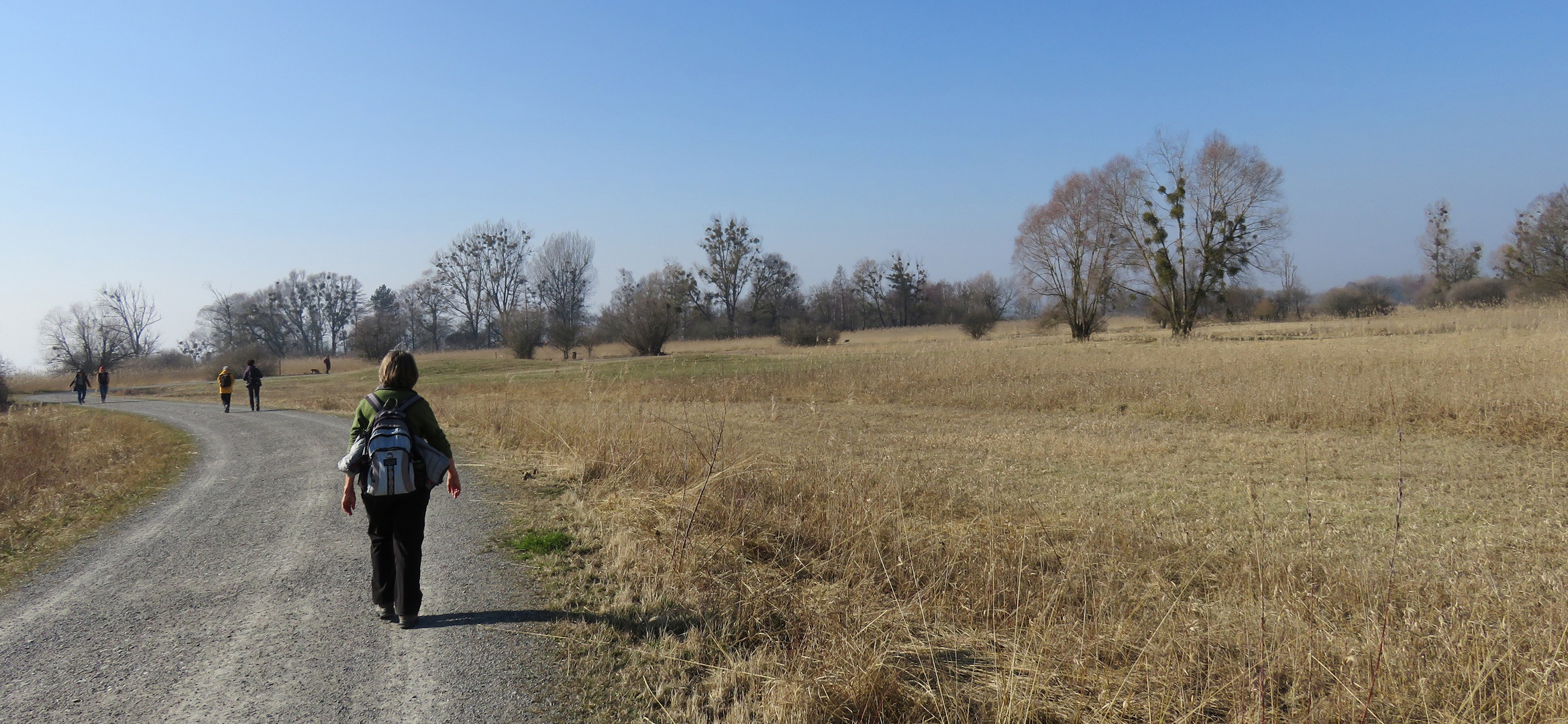 Im Eriskircher Ried