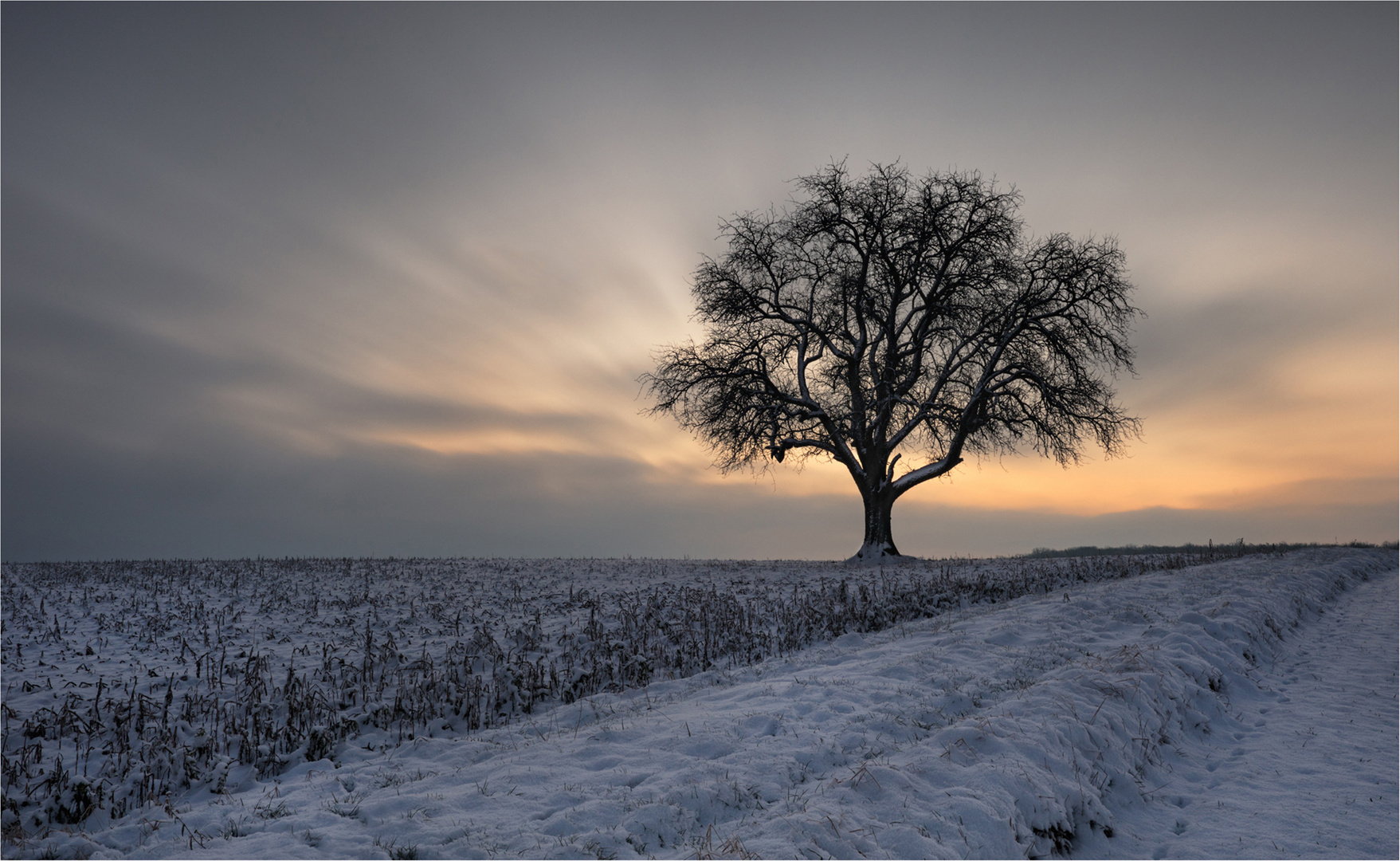 Im ersten Licht