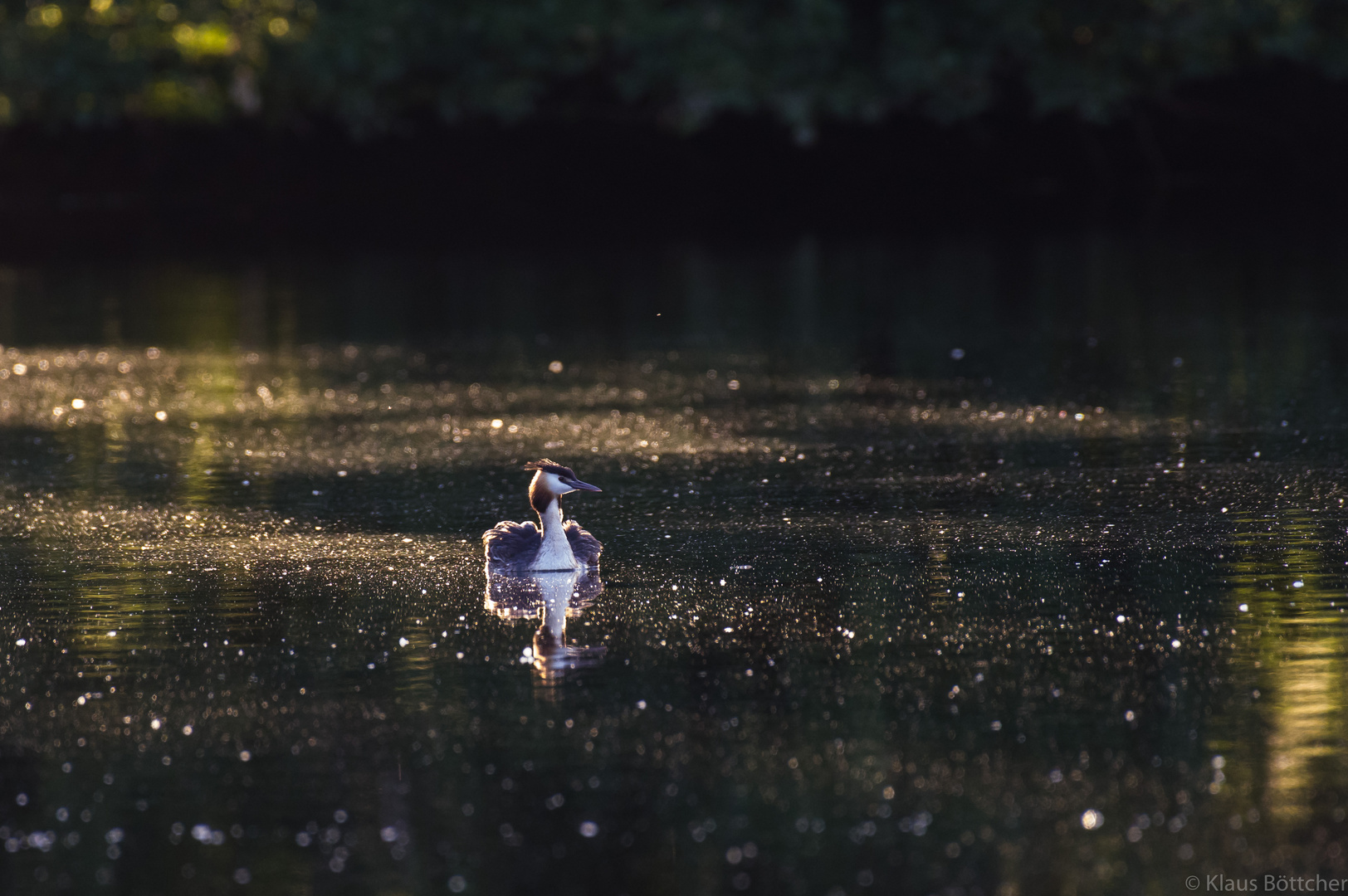 Im ersten Licht