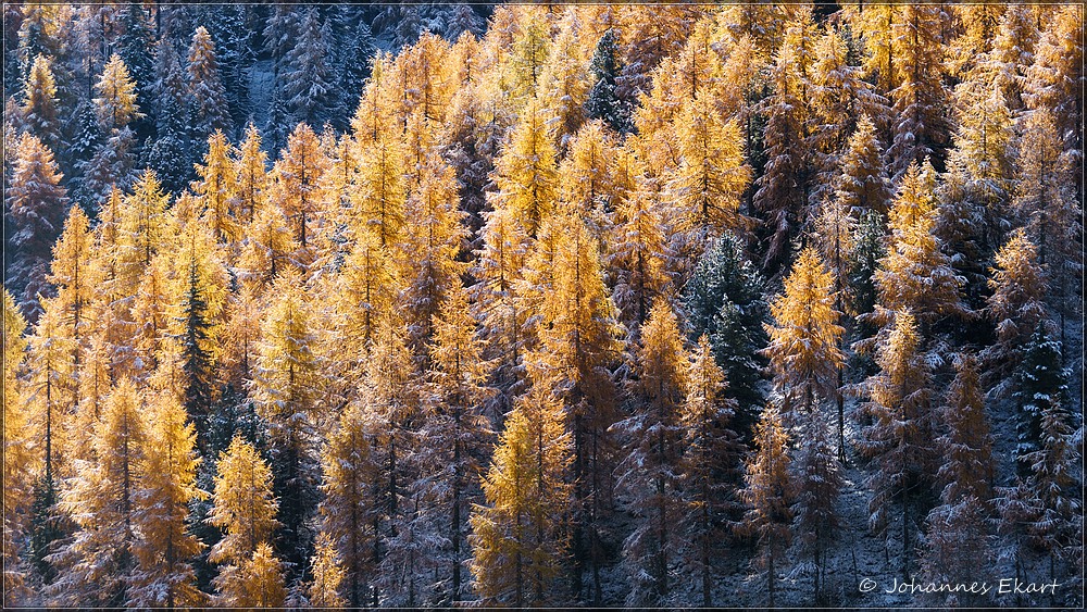 im ersten Licht der Sonne