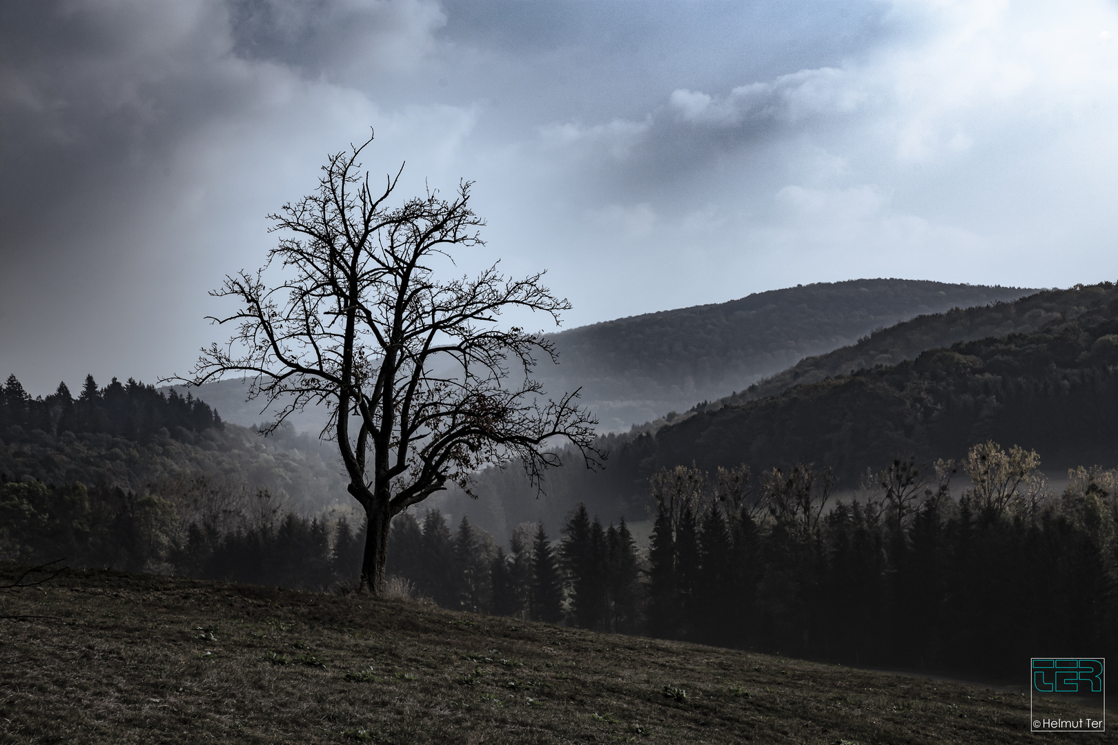 Im ersten Morgenlicht