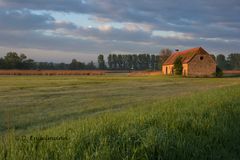 Im ersten Morgenlicht